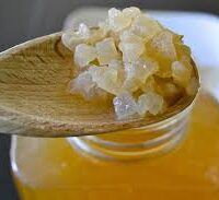Nódulos de Kefir