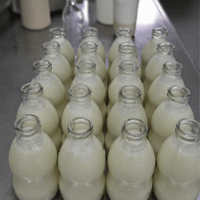 Leche Cruda de Cabra x 1 Litro LAS LUCIÉRNAGAS