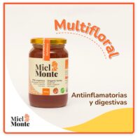 Miel x 1 Kg -Multifloral- Sin TACC MIEL DE MONTE