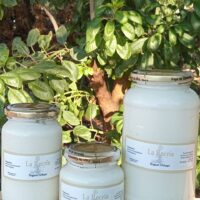 Yogur Griego Agroecologico x 800 grs LA RECRIA