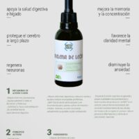 MELENA DE LEÓN x 60ml DATTAVERDE