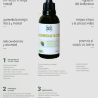 RODHIOLA ROSEA x 60 ml DATTAVERDE