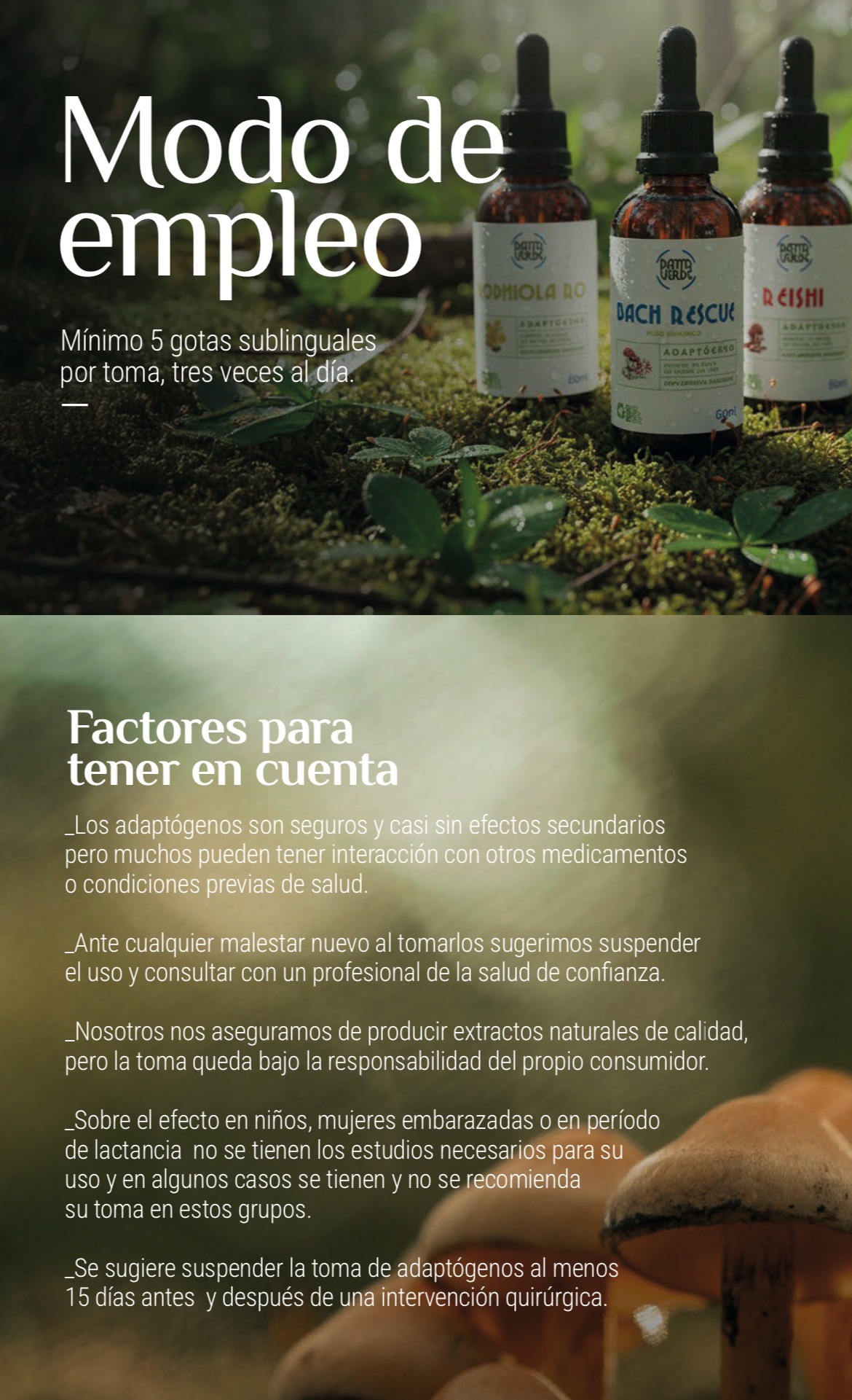 MELENA DE LEÓN x 60ml DATTAVERDE - Imagen 2