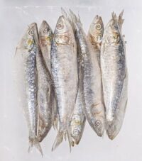 Sardinas Españolas x 500 grs aprox. (5/6 sardinas)