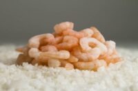 Camarones Cocidos Pelados x 200 grs aprox