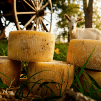 Queso Gouda x 300 grs aprox LAS LUCIÉRNAGAS